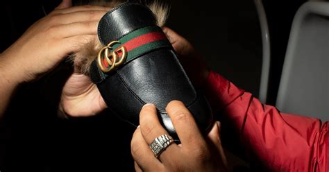 wat houd van kip en draagt gucci marokhaan|Gucci, Versace, Dolce & Gabbana: Het belang van dure .